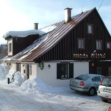 Guest House Leona Kořenov Exterior foto